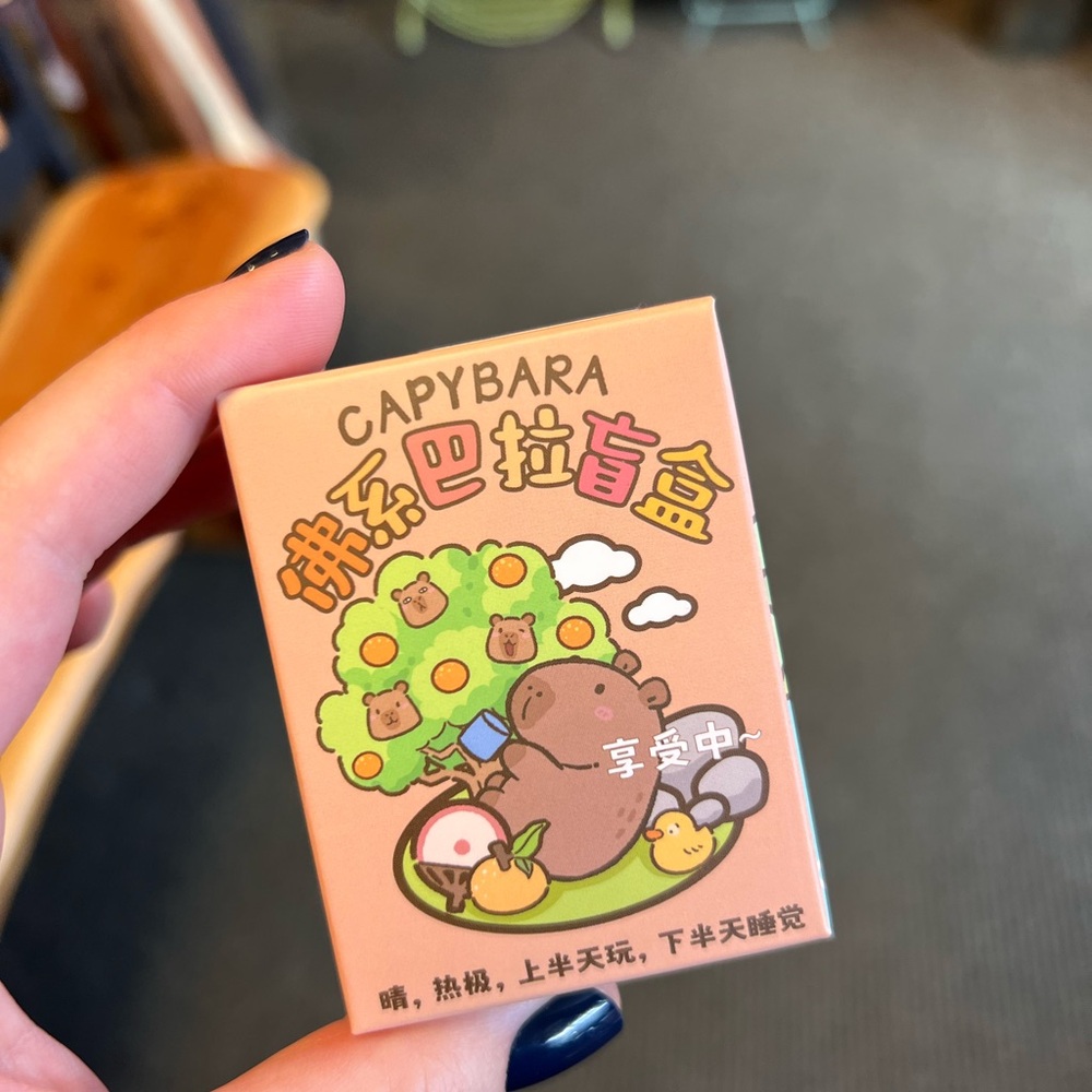 Capybara Blind Box